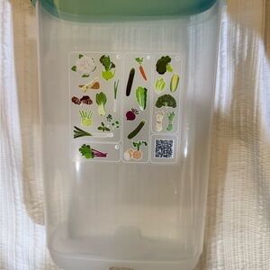Tupperware Clear and Teal Food Storage Container 3.2 L NEW